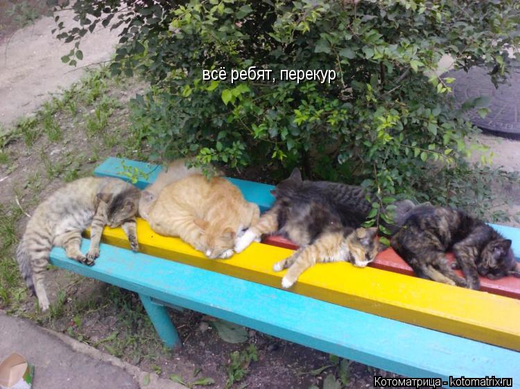 всё ребят, перекур... Котоматрица: всё ребят, перекур
