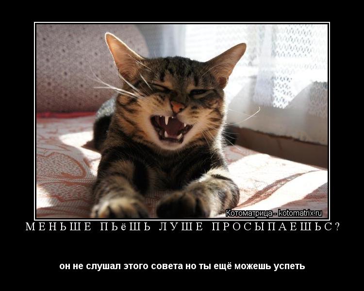 меньше пьёшь луше просыпаешься он не слушал этого совета но ты ещё можешь успеть... Котоматрица: меньше пьёшь луше просыпаешься он не слушал этого совета но ты ещё можешь успеть