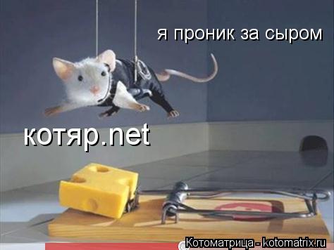 я проник за сыром котяр.net... Котоматрица: я проник за сыром котяр.net