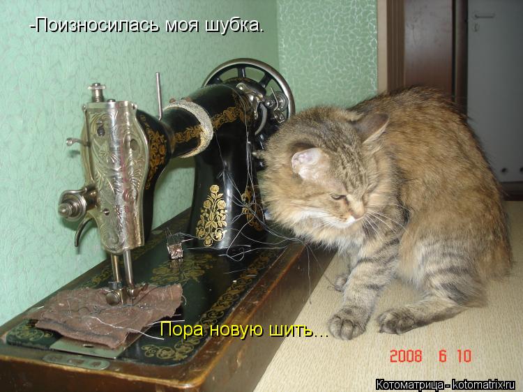 -Поизносилась моя шубка. Пора новую шить...... Котоматрица: -Поизносилась моя шубка. Пора новую шить...