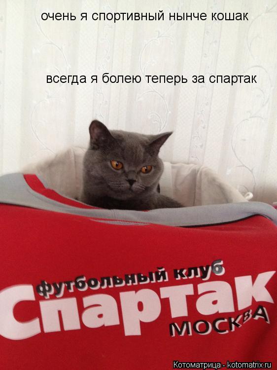 очень я спортивный нынче кошак всегда я болею теперь за спартак... Котоматрица: очень я спортивный нынче кошак всегда я болею теперь за спартак