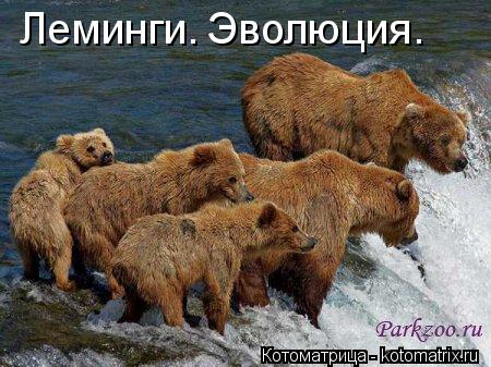 Леминги. Эволюция.... Котоматрица: Леминги. Эволюция.