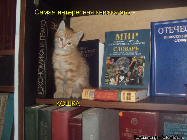 Самая интересная книжка это КОШКА - -... Котоматрица: Самая интересная книжка это КОШКА - -