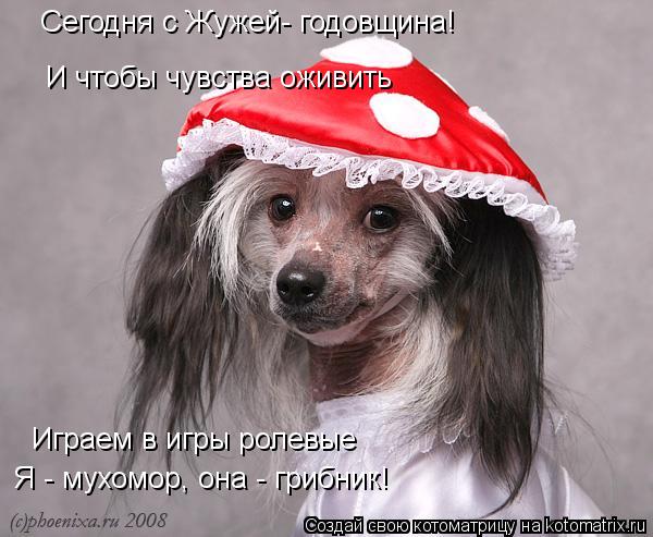 Играем в игры ролевые Я - мухомор, она - грибник! Сегодня с Жужей- годовщина! И чтобы чувства оживить... Котоматрица: Играем в игры ролевые Я - мухомор, она - грибник! Сегодня с Жужей- годовщина! И чтобы чувства оживить