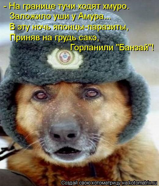 - На границе тучи ходят хмуро. Заложило уши у Амура... В эту ночь японцы-паразиты, Приняв на грудь са... Котоматрица: - На границе тучи ходят хмуро. Заложило уши у Амура... В эту ночь японцы-паразиты, Приняв на грудь сакэ, Горланили "Банзай"!