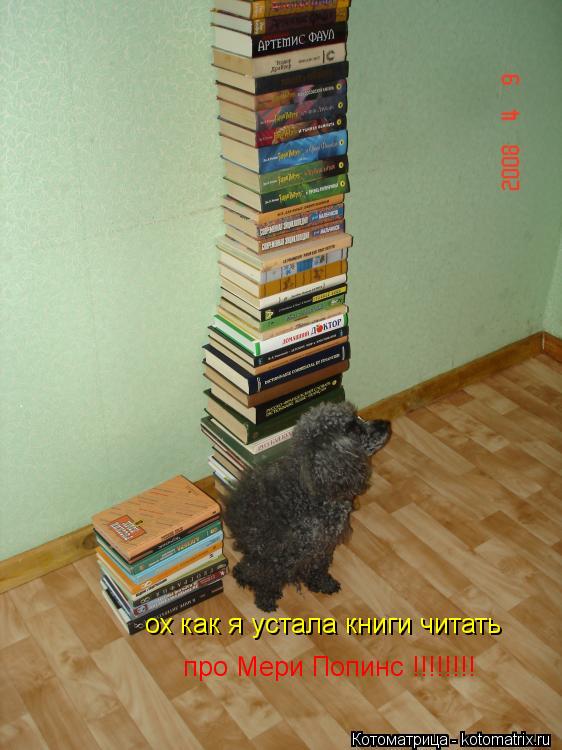 ох как я устала книги читать про Мери Попинс !!!!!!!!... Котоматрица: ох как я устала книги читать про Мери Попинс !!!!!!!!
