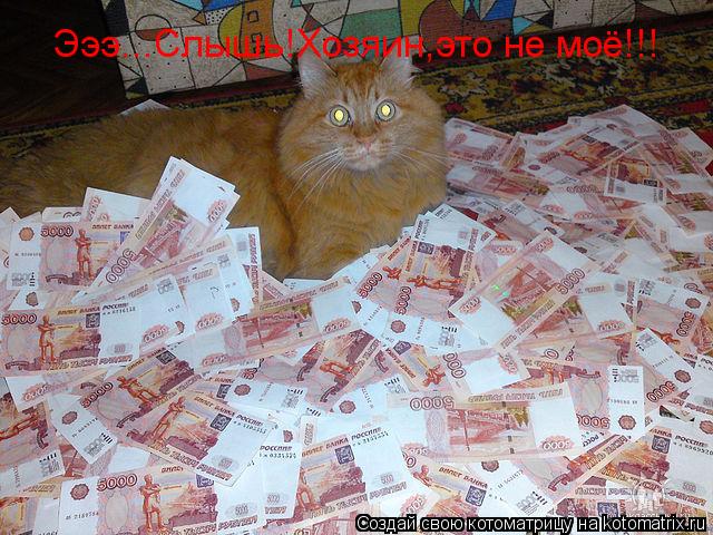 Эээ...Слышь!Хозяин,это не моё!!!... Котоматрица: Эээ...Слышь!Хозяин,это не моё!!!