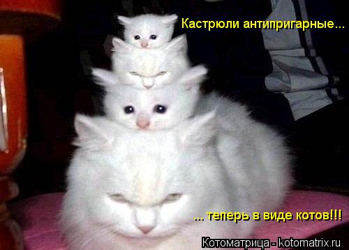 Кастрюли антипригарные... ... теперь в виде котов!!!... Котоматрица: Кастрюли антипригарные... ... теперь в виде котов!!!