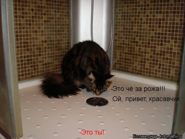 -Это чё за рожа!!! -Это ты! Ой, привет, красавчик... Котоматрица: -Это чё за рожа!!! -Это ты! Ой, привет, красавчик