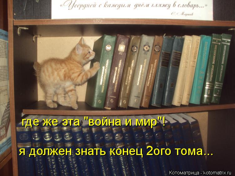 где же эта "война и мир"! я должен знать конец 2ого тома...... Котоматрица: где же эта "война и мир"! я должен знать конец 2ого тома...