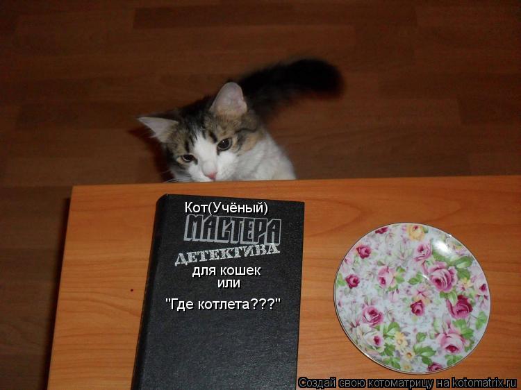 Кот(Учёный) или "Где котлета???" для кошек... Котоматрица: Кот(Учёный) или "Где котлета???" для кошек