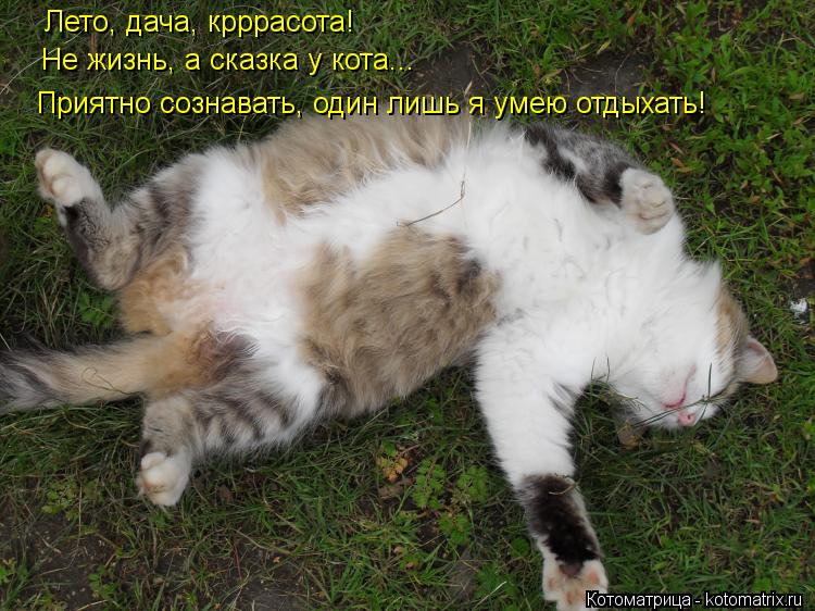 http://kotomatrix.ru/images/lolz/2012/05/27/5d2962fcc0.jpg