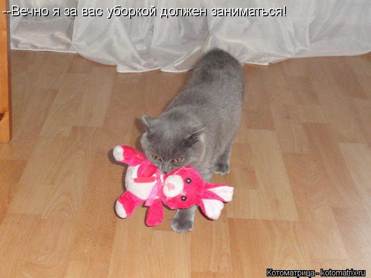 --Вечно я за вас уборкой должен заниматься!... Котоматрица: --Вечно я за вас уборкой должен заниматься!