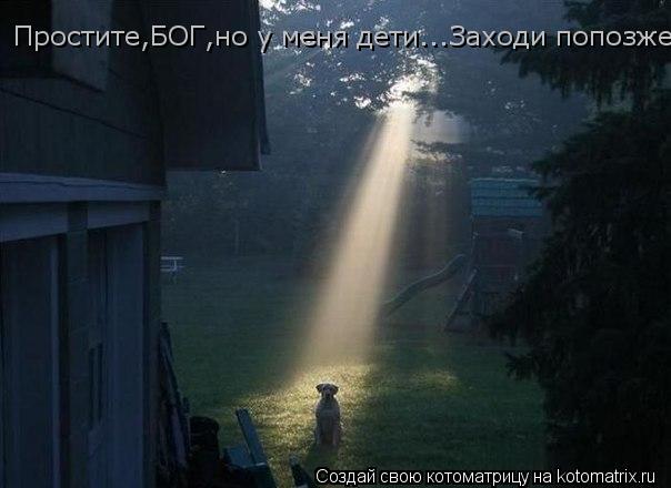 Простите,БОГ,но у меня дети...Заходи попозже....... Котоматрица: Простите,БОГ,но у меня дети...Заходи попозже....
