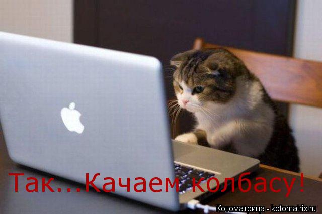 Так...Качаем колбасу!... Котоматрица: Так...Качаем колбасу!