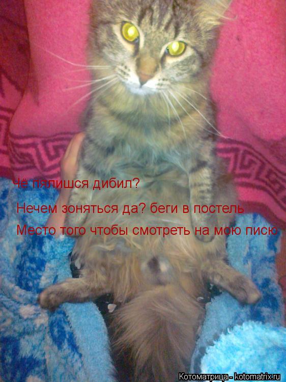 Чё пялишся дибил? Нечем зоняться да? беги в постель Место того чтобы смотреть на мою писю... Котоматрица: Чё пялишся дибил? Нечем зоняться да? беги в постель Место того чтобы смотреть на мою писю