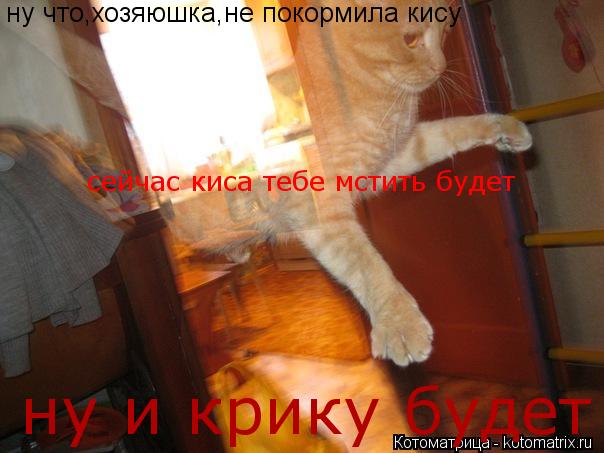 ну что,хозяюшка,не покормила кису сейчас киса тебе мстить будет ну и крику будет... Котоматрица: ну что,хозяюшка,не покормила кису сейчас киса тебе мстить будет ну и крику будет