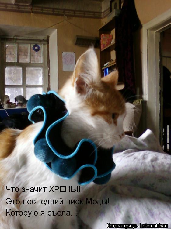 -Что значит ХРЕНЬ!!! Это последний писк Моды! Которую я съела...... Котоматрица: -Что значит ХРЕНЬ!!! Это последний писк Моды! Которую я съела...