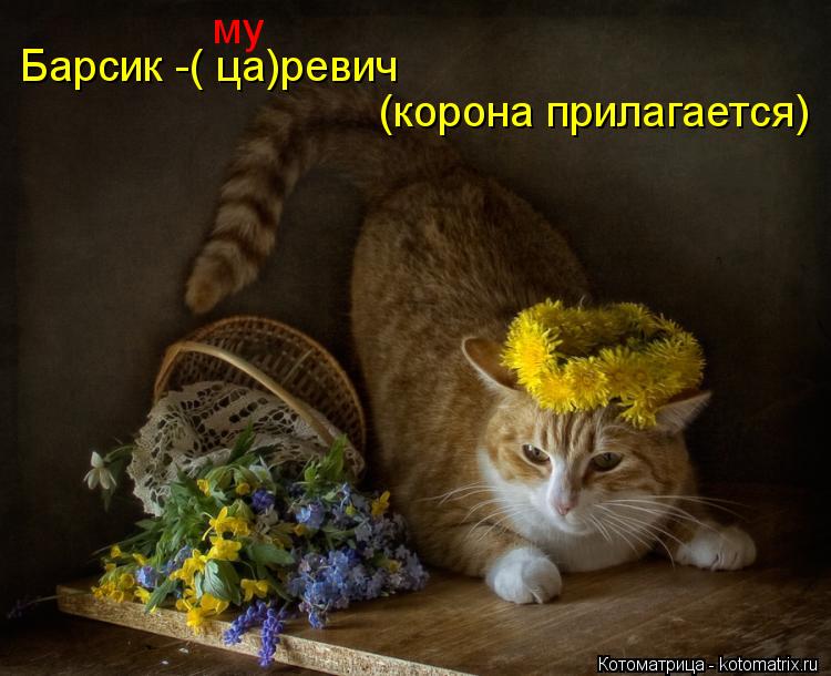 Барсик -( ца)ревич му (корона прилагается)... Котоматрица: Барсик -( ца)ревич му (корона прилагается)