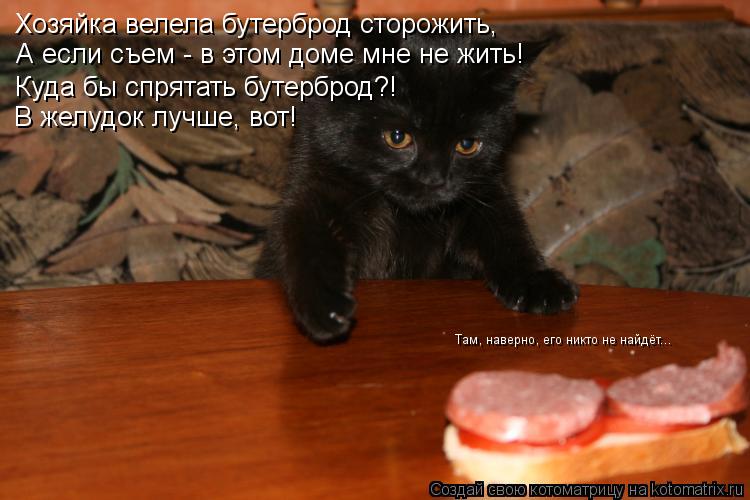 Хозяйка велела бутерброд сторожить, А если съем - в этом доме мне не жить! Куда бы спрятать бутерброд... Котоматрица: Хозяйка велела бутерброд сторожить, А если съем - в этом доме мне не жить! Куда бы спрятать бутерброд?! В желудок лучше, вот! Там, наверно, его