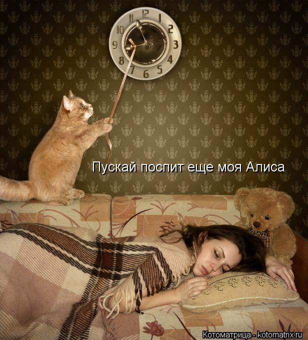 Пускай поспит еще моя Алиса... Котоматрица: Пускай поспит еще моя Алиса