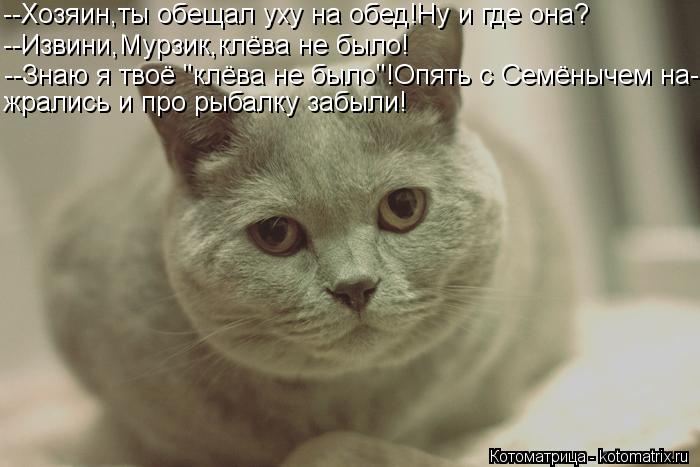 --Хозяин,ты обещал уху на обед!Ну и где она? --Извини,Мурзик,клёва не было! --Знаю я твоё "клёва не б... Котоматрица: --Хозяин,ты обещал уху на обед!Ну и где она? --Извини,Мурзик,клёва не было! --Знаю я твоё "клёва не было"!Опять с Семёнычем на- жрались и про рыбал
