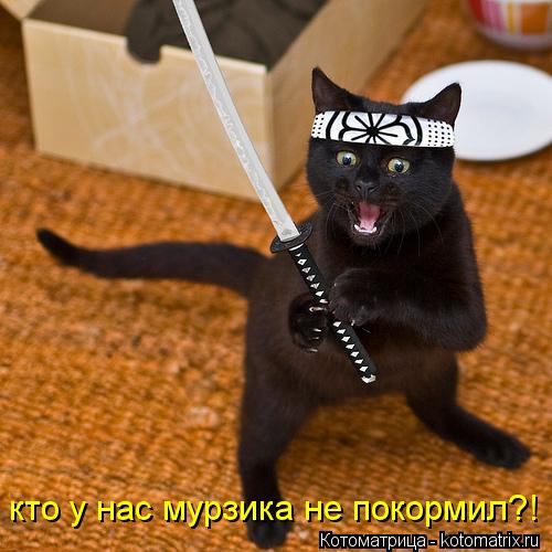 кто у нас мурзика не покормил?!... Котоматрица: кто у нас мурзика не покормил?!