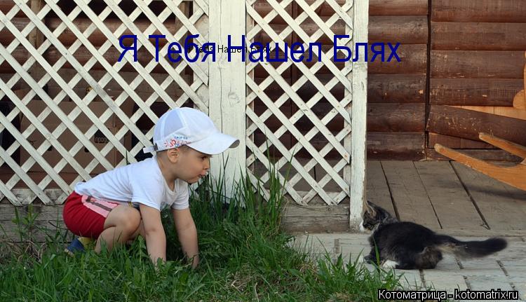 Я Тебя Нашел Блях Я Тебя Нашел Блях... Котоматрица: Я Тебя Нашел Блях Я Тебя Нашел Блях