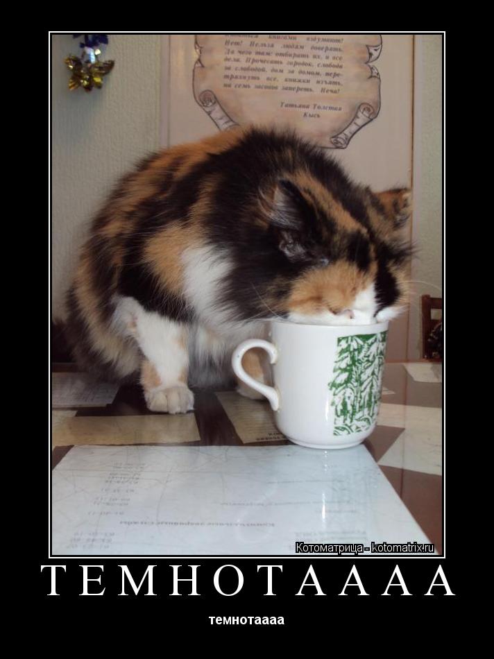 темнотаааа темнотаааа... Котоматрица: темнотаааа темнотаааа