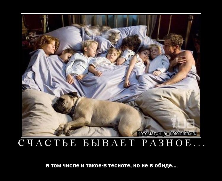 СЧАСТЬЕ БЫВАЕТ РАЗНОЕ... в том числе и такое-в тесноте, но не в обиде...... Котоматрица: СЧАСТЬЕ БЫВАЕТ РАЗНОЕ... в том числе и такое-в тесноте, но не в обиде...