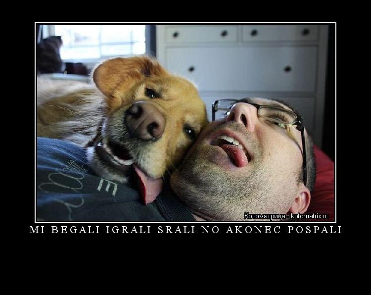mi begali igrali srali no akonec pospali ... Котоматрица: mi begali igrali srali no akonec pospali