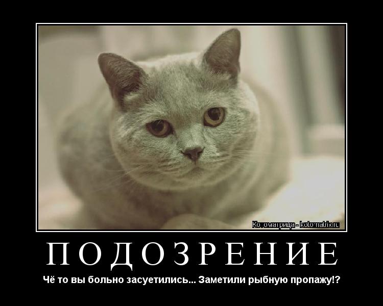 Подозрение Чё то вы больно засуетились... Заметили рыбную пропажу!?... Котоматрица: Подозрение Чё то вы больно засуетились... Заметили рыбную пропажу!?