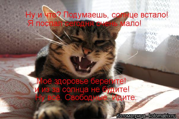 Ну и что? Подумаешь, солнце встало! Я поспал сегодня очень мало! Моё здоровье берегите! и из за сол... Котоматрица: Ну и что? Подумаешь, солнце встало! Я поспал сегодня очень мало! Моё здоровье берегите! и из за солнца не будите! Ну всё. Свободные. Идите.