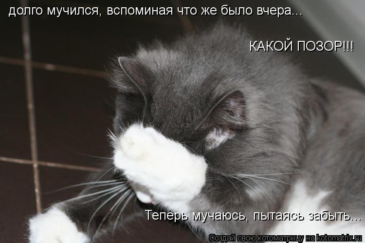 долго мучился, вспоминая что же было вчера... КАКОЙ ПОЗОР!!! Теперь мучаюсь, пытаясь забыть...... Котоматрица: долго мучился, вспоминая что же было вчера... КАКОЙ ПОЗОР!!! Теперь мучаюсь, пытаясь забыть...