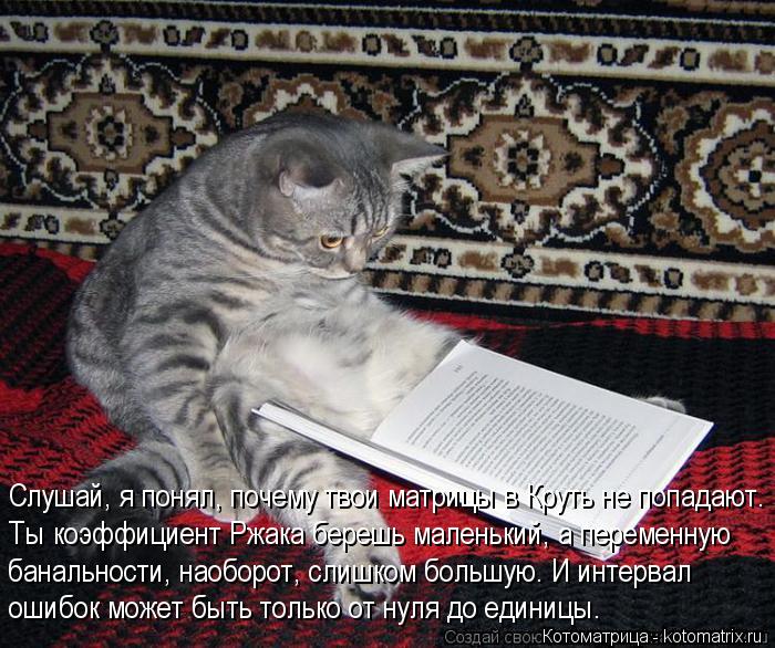 Слушай, я понял, почему твои матрицы в Круть не попадают. Ты коэффициент Ржака берешь маленький, а пе... Котоматрица: Слушай, я понял, почему твои матрицы в Круть не попадают. Ты коэффициент Ржака берешь маленький, а переменную банальности, наоборот, слишком