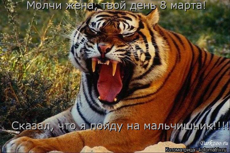 Молчи жена, твой день 8 марта! Сказал, что я пойду на мальчишник!!!!... Котоматрица: Молчи жена, твой день 8 марта! Сказал, что я пойду на мальчишник!!!!