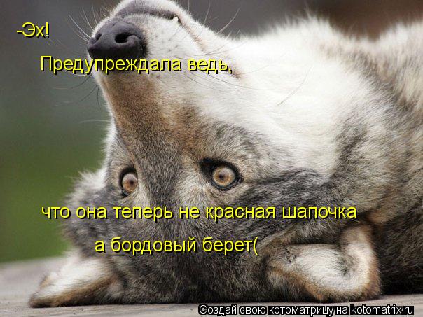 Предупреждала ведь, -Эх! что она теперь не красная шапочка а бордовый берет(... Котоматрица: Предупреждала ведь, -Эх! что она теперь не красная шапочка а бордовый берет(