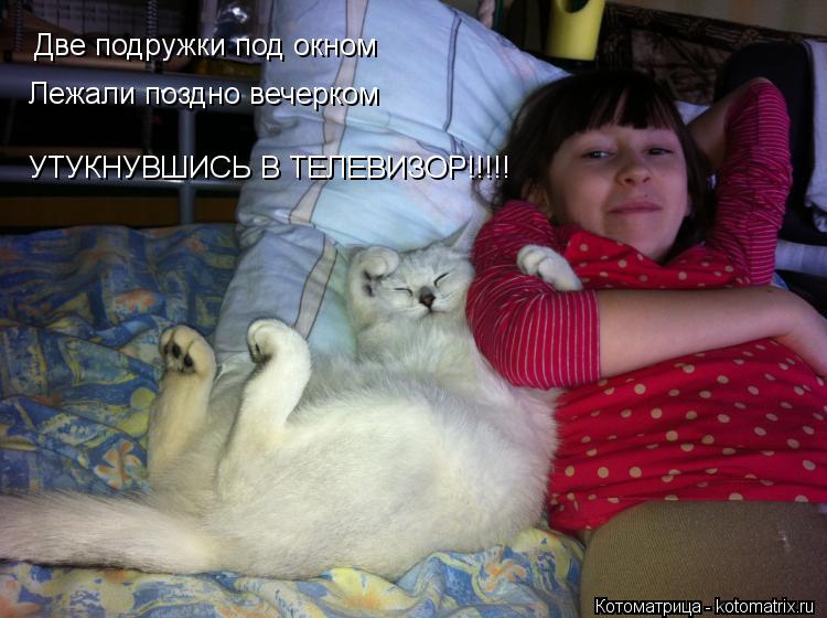 Две подружки под окном Лежали поздно вечерком УТУКНУВШИСЬ В ТЕЛЕВИЗОР!!!!!... Котоматрица: Две подружки под окном Лежали поздно вечерком УТУКНУВШИСЬ В ТЕЛЕВИЗОР!!!!!