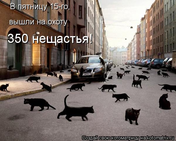 В пятницу 15-го, 350 нещастья! вышли на охоту... Котоматрица: В пятницу 15-го, 350 нещастья! вышли на охоту