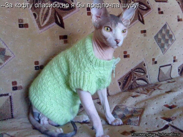 --За кофту спасибо,но я бы предпочла шубу!... Котоматрица: --За кофту спасибо,но я бы предпочла шубу!