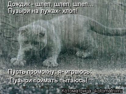 Дождик - шлеп, шлеп, шлеп... Пузыри на лужах- хлоп! Пусть промокну: я- играюсь: Пузыри поймать пытаюс... Котоматрица: Дождик - шлеп, шлеп, шлеп... Пузыри на лужах- хлоп! Пусть промокну: я- играюсь: Пузыри поймать пытаюсь!