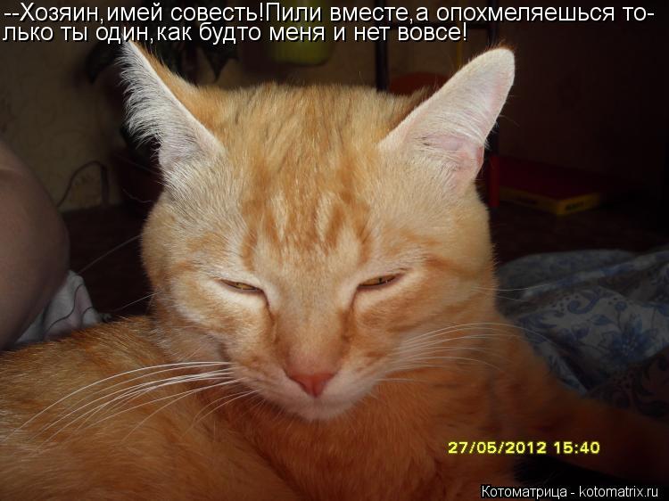 --Хозяин,имей совесть!Пили вместе,а опохмеляешься то- лько ты один,как будто меня и нет вовсе!... Котоматрица: --Хозяин,имей совесть!Пили вместе,а опохмеляешься то- лько ты один,как будто меня и нет вовсе!