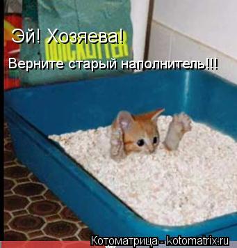 Эй! Хозяева! Верните старый наполнитель!!!... Котоматрица: Эй! Хозяева! Верните старый наполнитель!!!