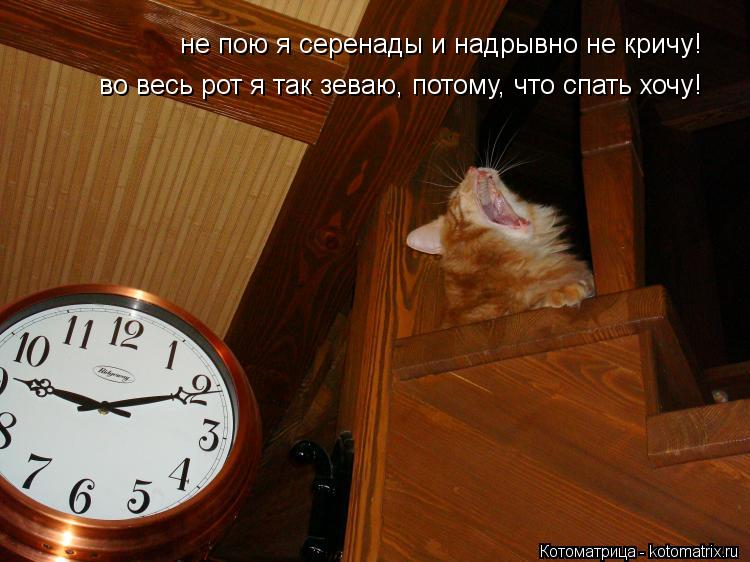 не пою я серенады и надрывно не кричу! во весь рот я так зеваю, потому, что спать хочу!... Котоматрица: не пою я серенады и надрывно не кричу! во весь рот я так зеваю, потому, что спать хочу!