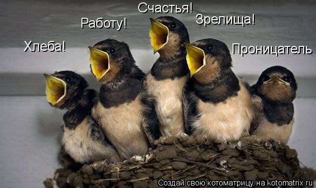 Хлеба! Работу! Счастья! Зрелища! Проницатель... Котоматрица: Хлеба! Работу! Счастья! Зрелища! Проницатель