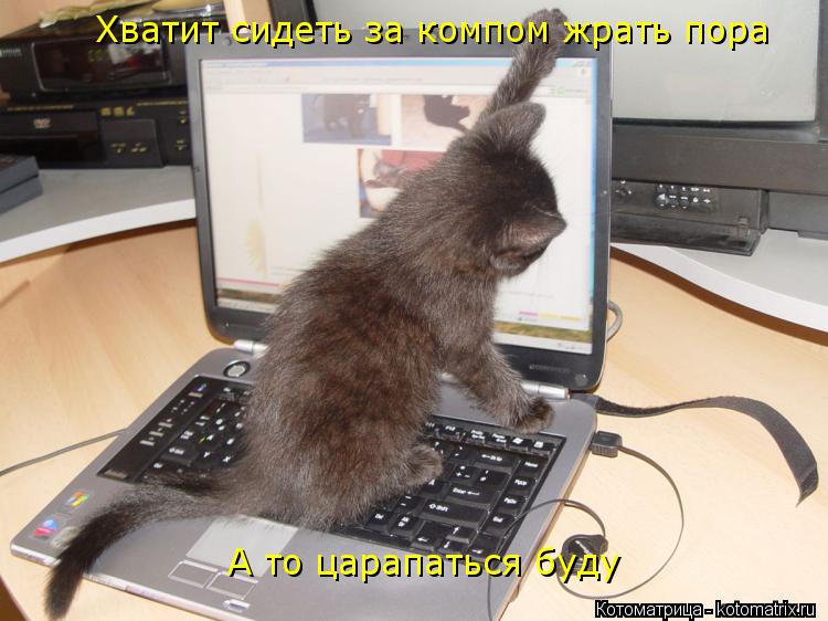 А то царапаться буду Хватит сидеть за компом жрать пора... Котоматрица: А то царапаться буду Хватит сидеть за компом жрать пора
