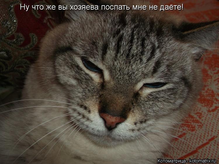 Ну что же вы хозяева поспать мне не даёте!... Котоматрица: Ну что же вы хозяева поспать мне не даёте!