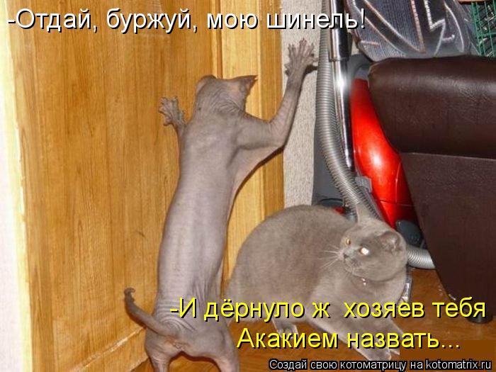 -Отдай, буржуй, мою шинель! -И дёрнуло ж хозяев тебя Акакием назвать...... Котоматрица: -Отдай, буржуй, мою шинель! -И дёрнуло ж хозяев тебя Акакием назвать...