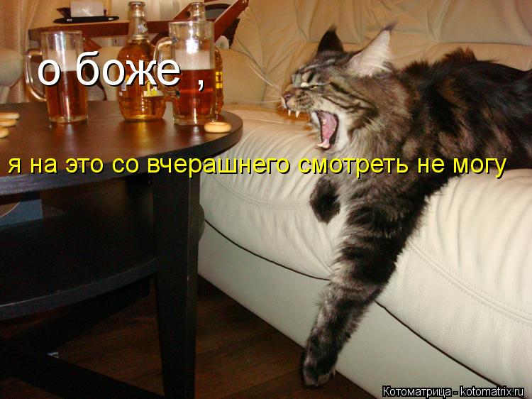 о боже , я на это со вчерашнего смотреть не могу... Котоматрица: о боже , я на это со вчерашнего смотреть не могу