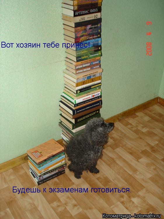 Вот хозяин тебе принёс! Будешь к экзаменам готовиться.... Котоматрица: Вот хозяин тебе принёс! Будешь к экзаменам готовиться.